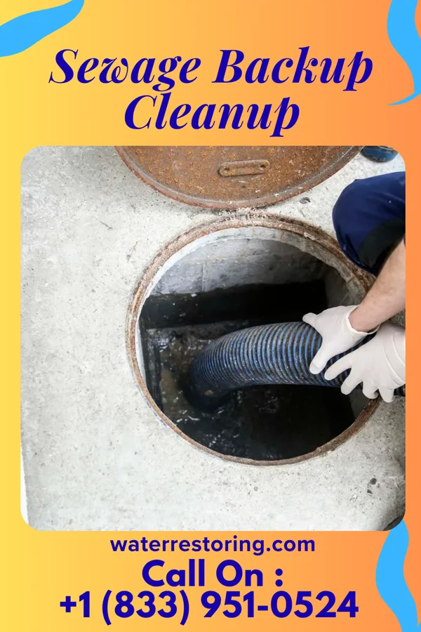 Sewage Backup Cleanup in Denver, MO